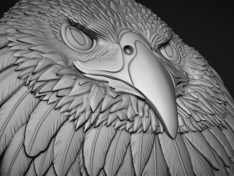 Eagle Head Bas Relief Model Cetak 3D