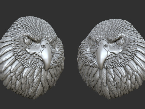 Eagle head bas relief 17mm 3D प्रिंट मॉडल