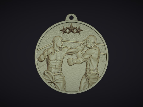 Boxing Medal 3D Print Model