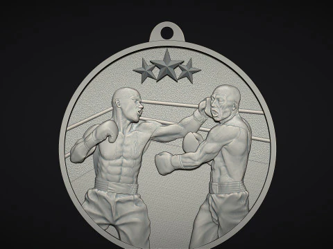 Boxing Medal 3D Print Model