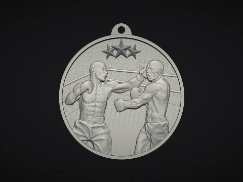 Boxing Medal 3D Print Model