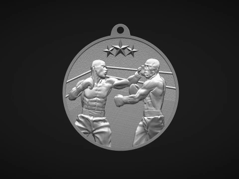Boxing Medal 3D Print Model