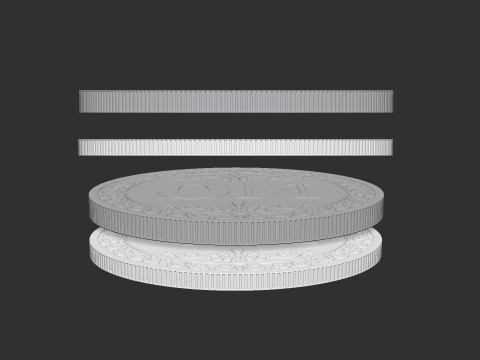 Lucky Coin 3Dプリントモデル