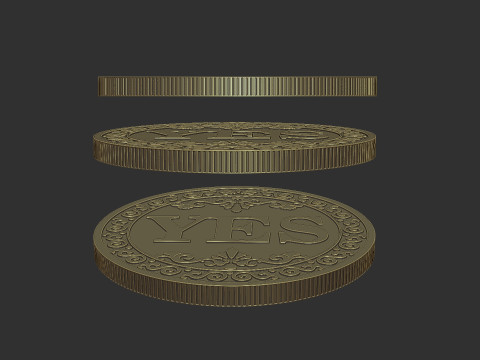 Lucky Coin 3Dプリントモデル