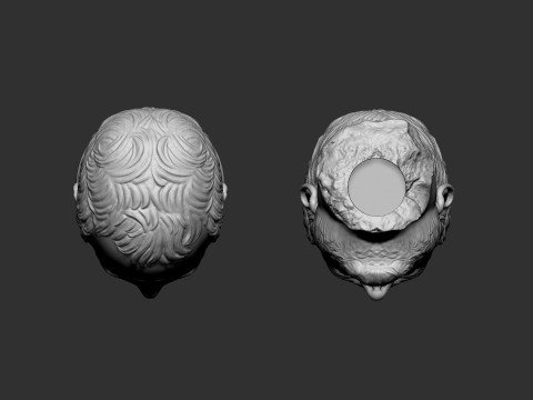 Roman Portrait Sculpture 3D-printmodel