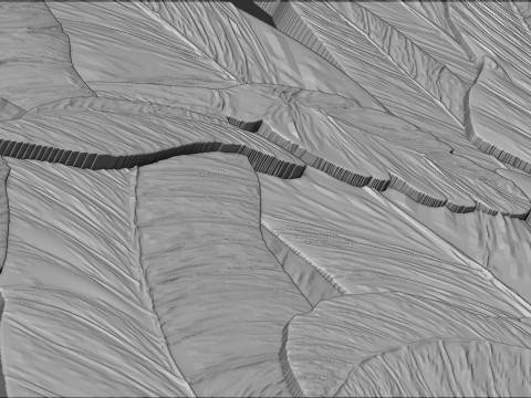 Banana Leaves Wall Decor 3D Print Model
