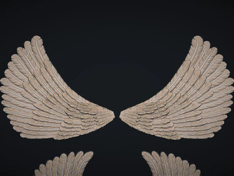 Angel Wings 3D Print Model