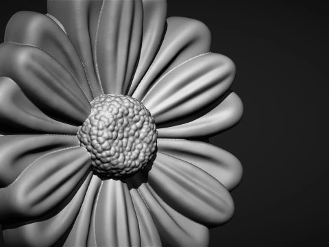 Feverfew Flower Bas Relief 3D Print Model