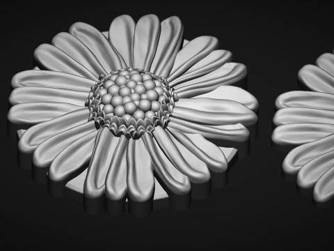 Cosmos Flower bas relief 3D Print Model
