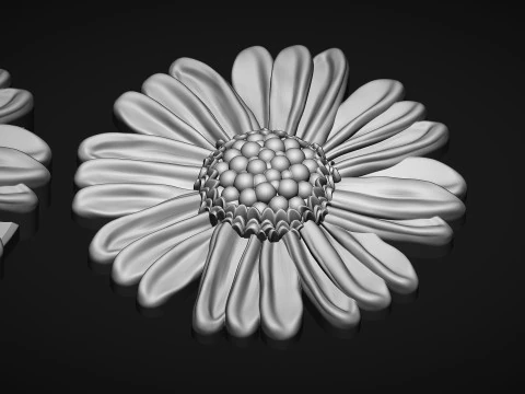 Cosmos Flower bas relief 3D Print Model