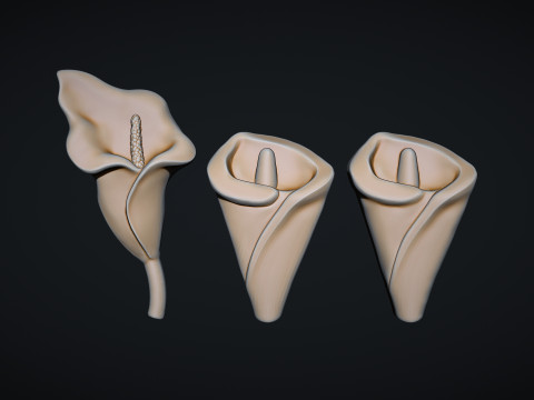 Arum Calla Lily Flower Bas Relief 3D प्रिंट मॉडल