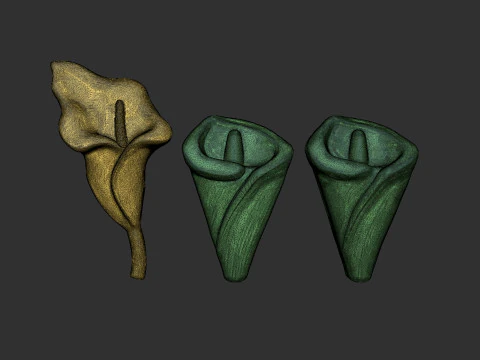 Arum Calla Lily Flower Bas Relief 3D Print Model