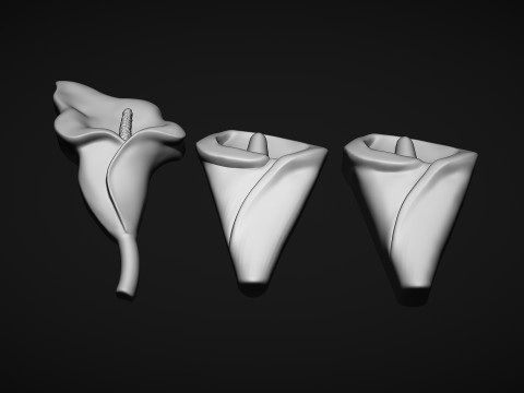 Arum Calla Lily Flower Bas Relief 3D 프린트 모델