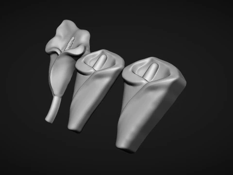 Arum Calla Lily Flower Bas Relief 3D Print Model