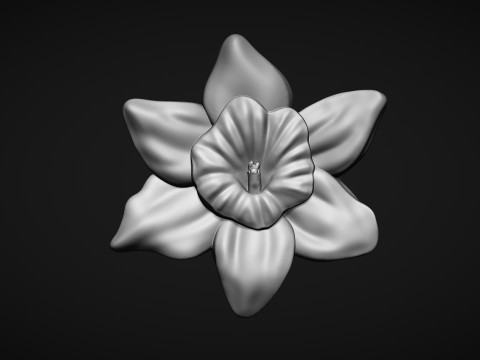 Daffodil Flower Bas Relief Modello di stampa 3D