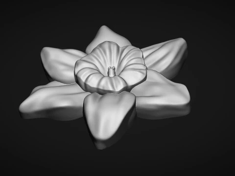 Daffodil Flower Bas Relief 3D Print Model