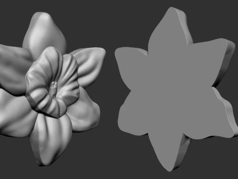 Daffodil Flower Bas Relief 3D Print Model