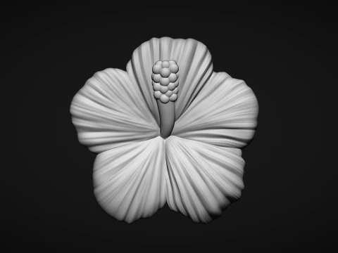 Hibiscus Flower Bas Relief 3D Print Model