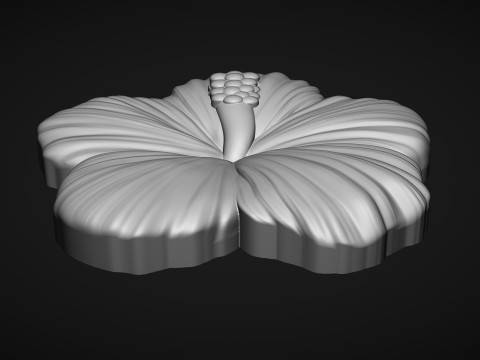 Hibiscus Flower Bas Relief Modello di stampa 3D