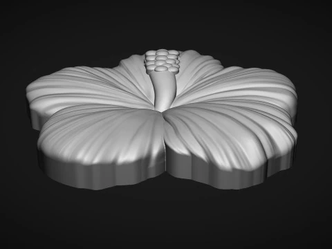 Hibiscus Flower Bas Relief 3D Print Model