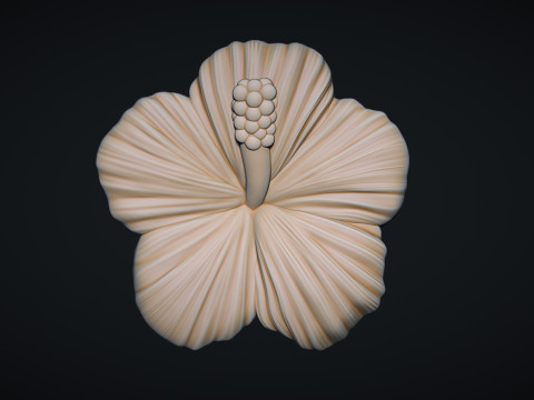 Hibiscus Flower Bas Relief Modello di stampa 3D