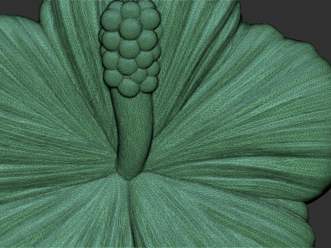 Hibiscus Flower Bas Relief Modello di stampa 3D