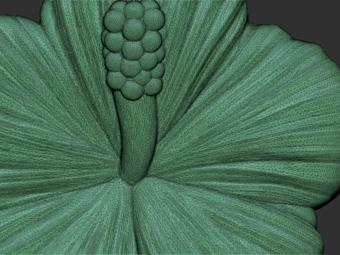 Hibiscus Flower Bas Relief 3D Print Model