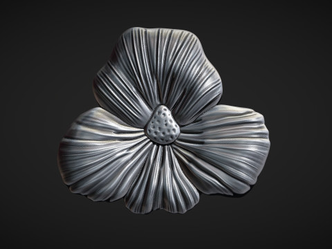 Viola Pansy Flower Bas Relief 3D Принт Модель
