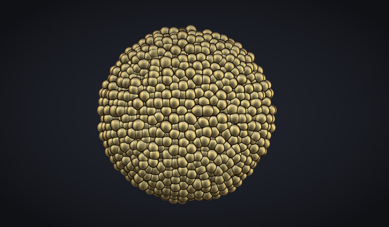 Daisy Head Middles 3D-Druckmodell .c4d .max .obj .3ds .fbx .stl .blend 