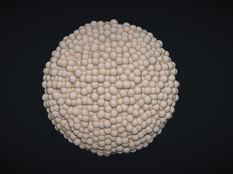 Daisy Head Middles 3D-Druckmodell