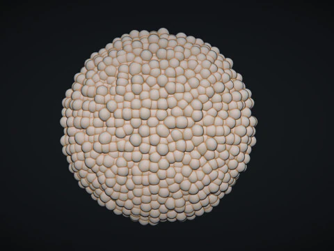 Daisy Head Middles 3D Print Model