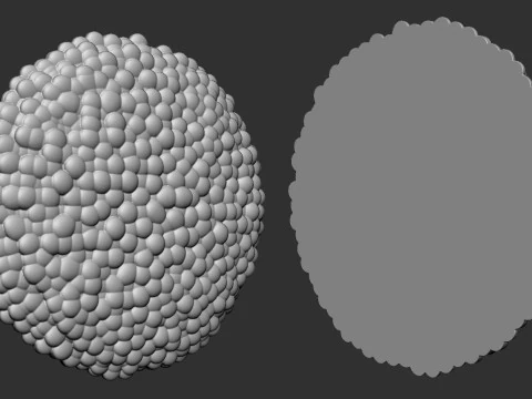 Daisy Head Middles 3D Print Model