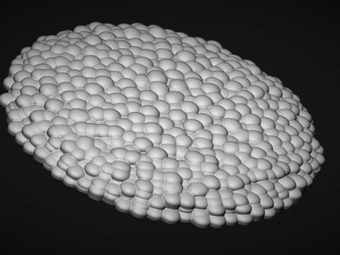 Daisy Head Middles 3D Print Model