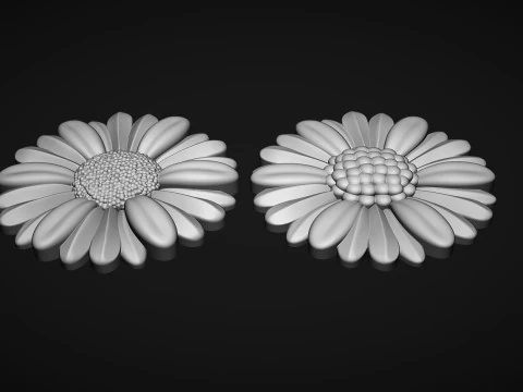 Daisy flowers bas relief 3D Print Model