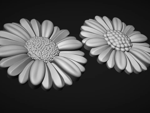 Daisy flowers bas relief 3D Print Model