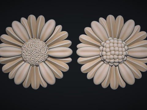 Daisy flowers bas relief 3D 프린트 모델