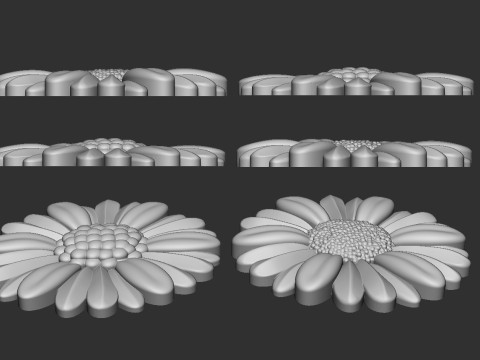 Daisy flowers bas relief 3D 프린트 모델