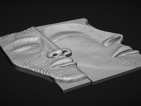Face Sculpture Wall Decor for Cnc or 3D Printing 3D Print Model