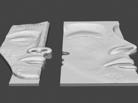 Face Sculpture Wall Decor for Cnc or 3D Printing 3D Print Model