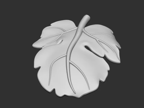 Fig Leaf 3D Print Model