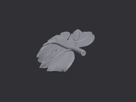 Fig Leaf 3D Print Model