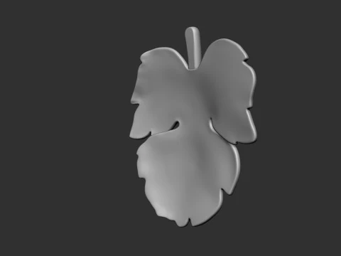 Fig Leaf 3D Print Model