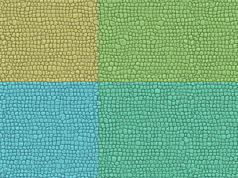 3D Crocodile Skin Fabric Leather Seamless Texture 3D Print Model