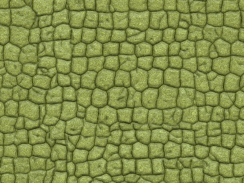 3D Crocodile Skin Fabric Leather Seamless Texture 3D Print Model