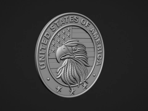 USA Eagle Medal 3D Print Model