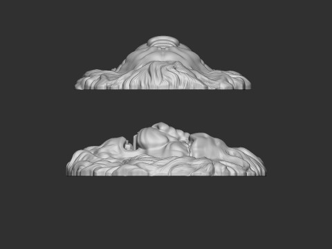 Lion Head Bas-Relief Modelo de impresión 3D