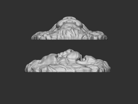Lion Head Bas-Relief Modelo de impresión 3D