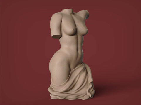 Female Torso Modello di stampa 3D