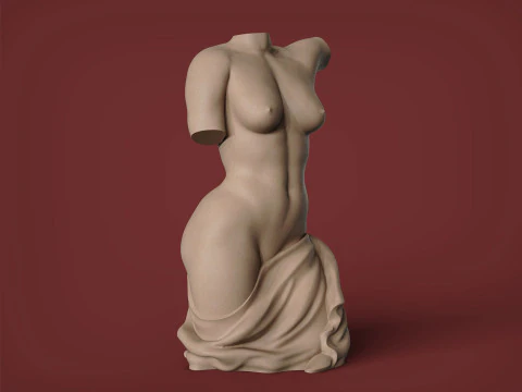 Torso Feminino Modelo de Impressão 3D