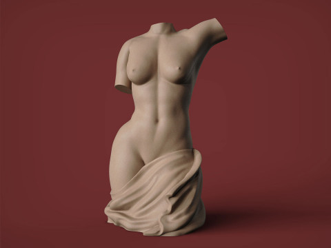 Female Torso 3D प्रिंट मॉडल